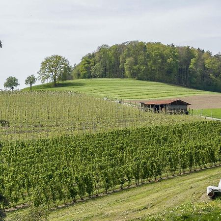 Ferienwohnung Lang Kressbronn am Bodensee Exteriér fotografie