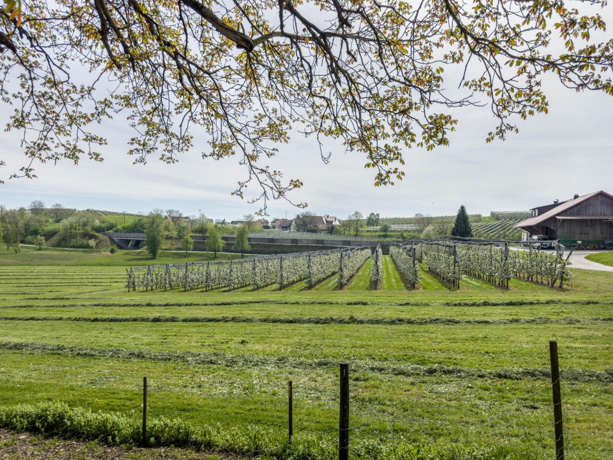 Ferienwohnung Lang Kressbronn am Bodensee Exteriér fotografie