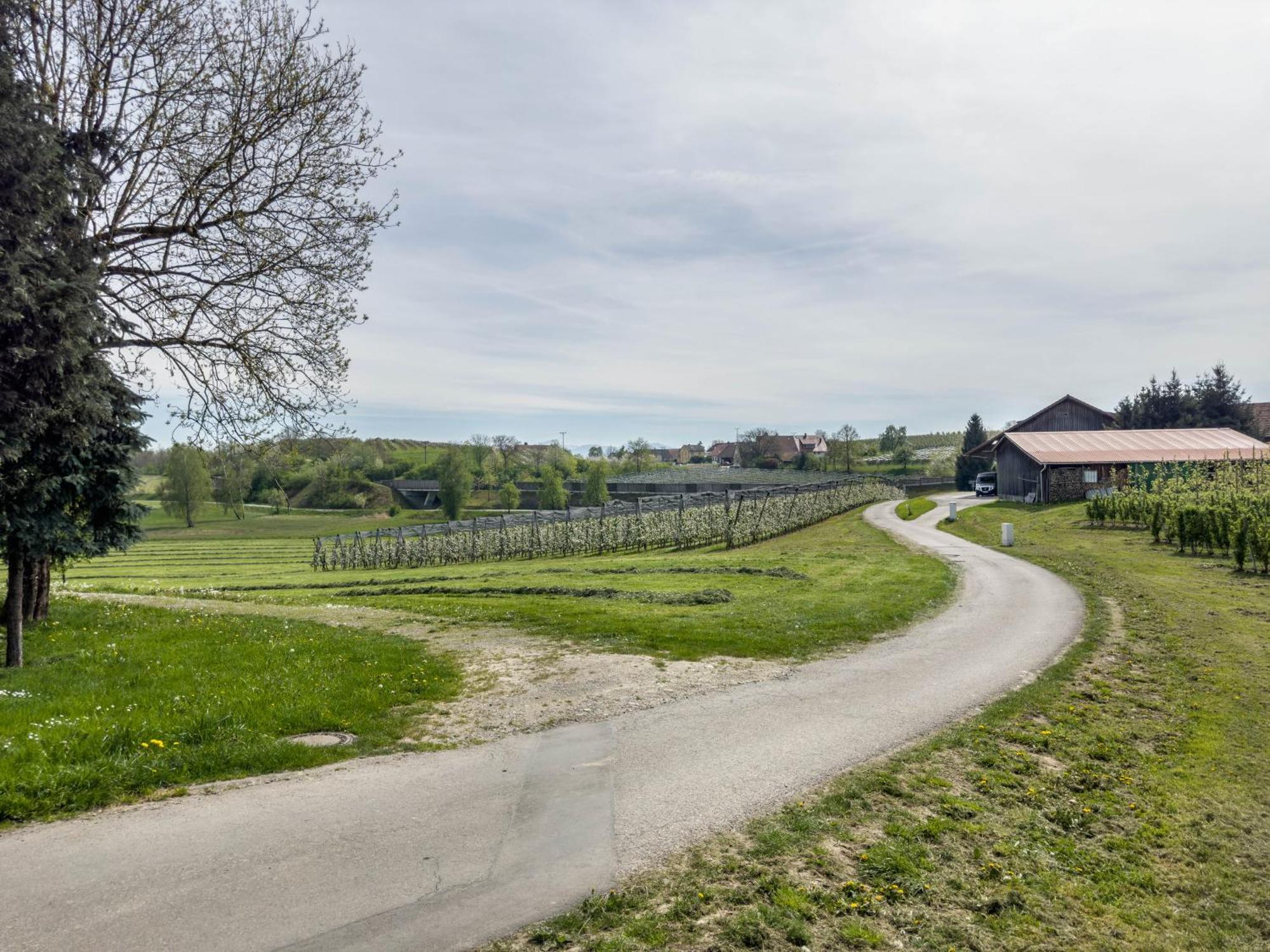 Ferienwohnung Lang Kressbronn am Bodensee Exteriér fotografie